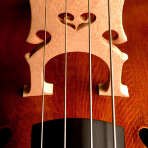 Double Bass Strings