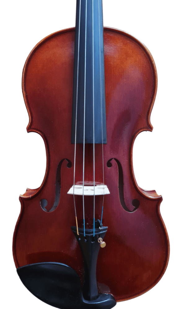 0049 Violin 4/4 Size Allegrissimo