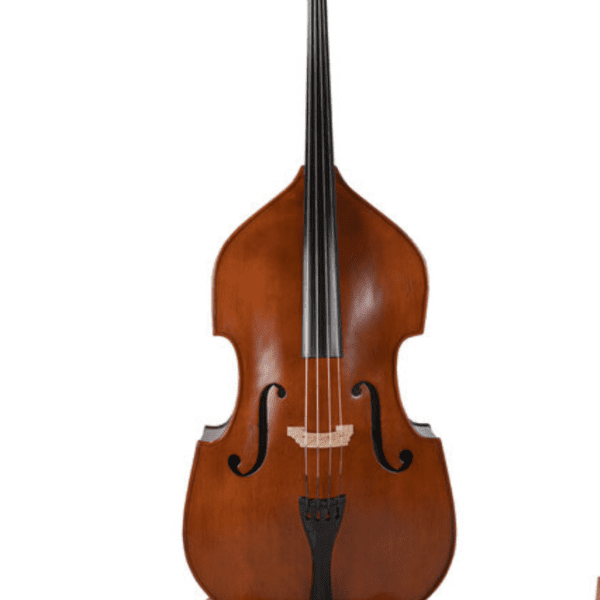 Bass Allegrissimo Gamba Shape 1/2-4/4 Half Solid